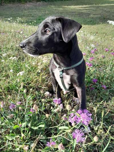 Lieblingsbild-Beitrag-Bild