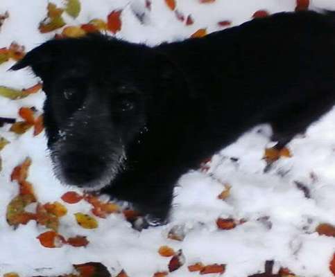 Lieblingsbild-Beitrag-Bild