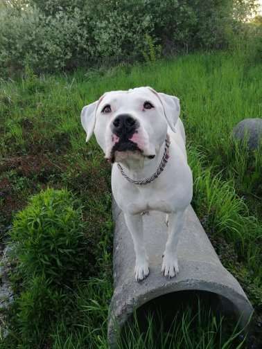 Lieblingsbild-Beitrag-Bild