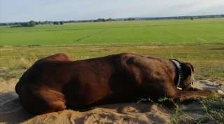 Lieblingsbild-Beitrag-Bild