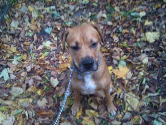 Lieblingsbild-Beitrag-Bild