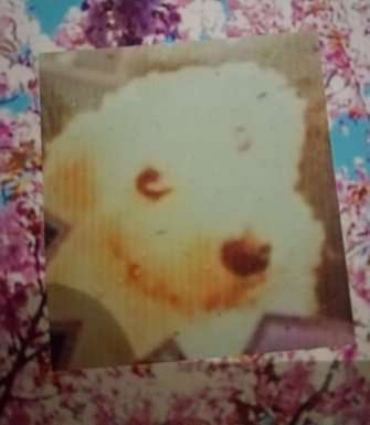 Lieblingsbild-Beitrag-Bild