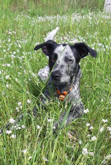 Lieblingsbild-Beitrag-Bild