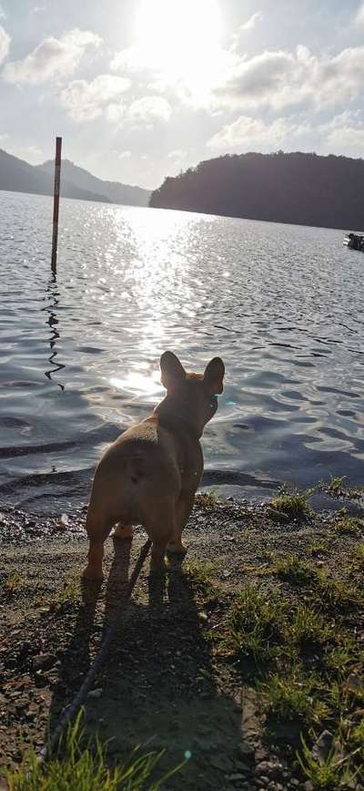 Eure Strandbilder :)-Beitrag-Bild