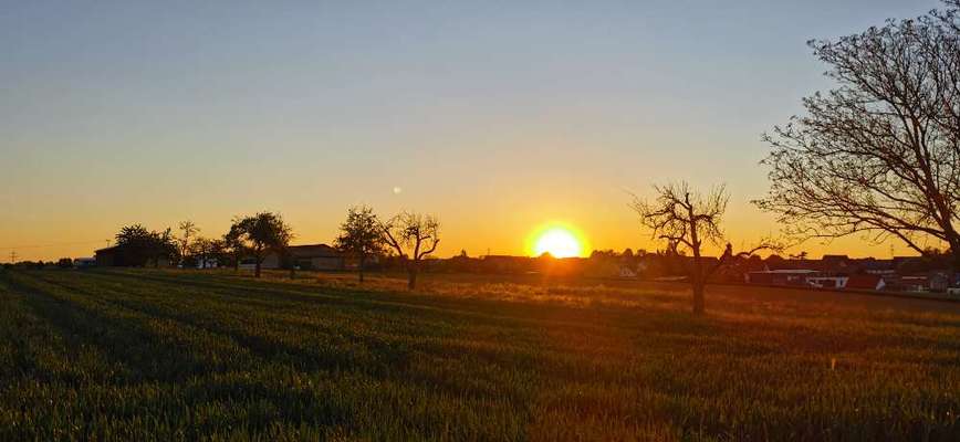 Die wunderschöne Welt mit Hund.-Beitrag-Bild
