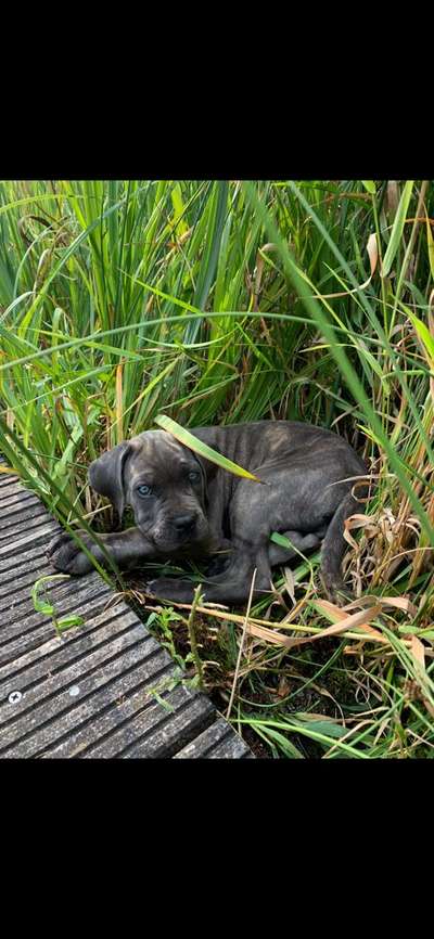 Fotochallange - Eingekugelt-Beitrag-Bild