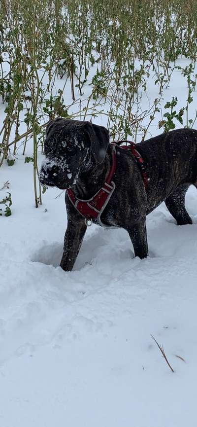 Verspielt-Beitrag-Bild