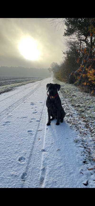 Sonnenaufgänge oder - untergänge-Beitrag-Bild