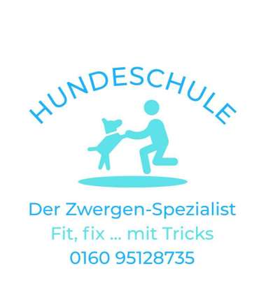 Hundeschule Bild