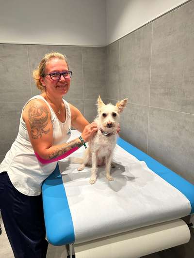 Giftköder-Physiotherapie für Hunde-Bild