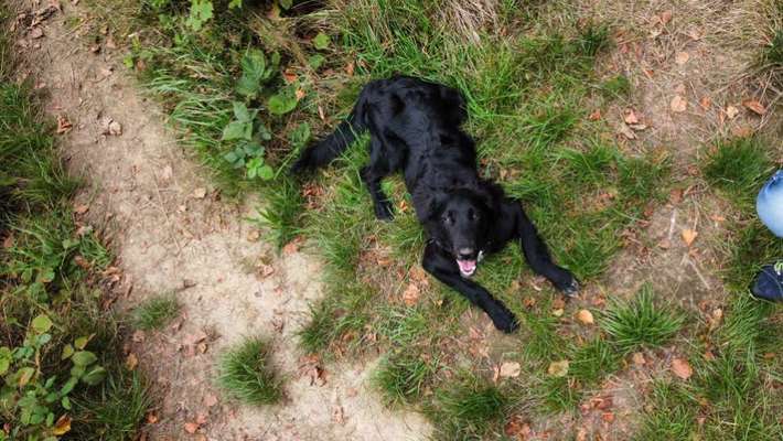 Handy-Foto Challange Nr. 10-Beitrag-Bild