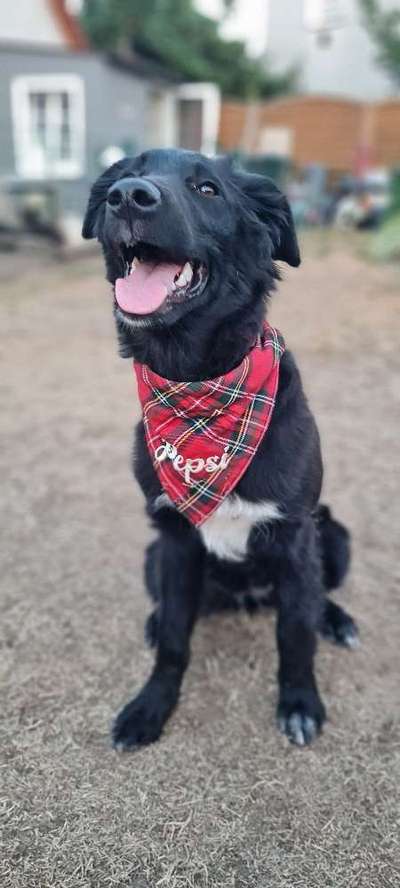 Handy-foto Challange nr. 11-Beitrag-Bild