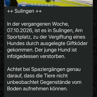 Giftköder-Giftköder-Bild