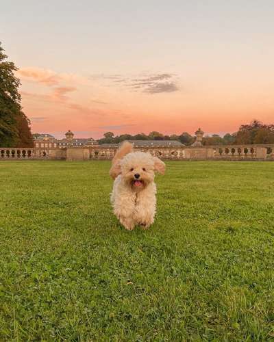 Fotochallenge Nr. 52 „Spring!“-Beitrag-Bild