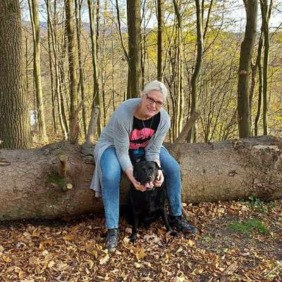 Hundetreffen-Hunde Treffen  in Göttingen und Umgebung.-Profilbild