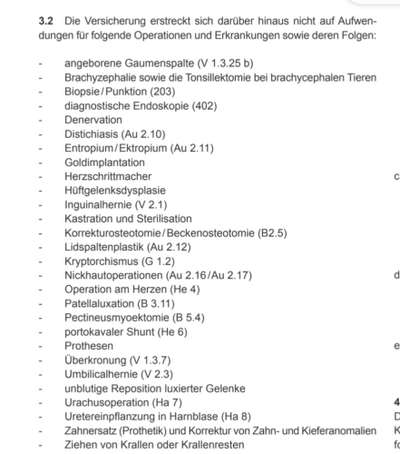 Französische Bulldoggen-Beitrag-Bild