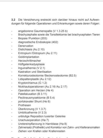 Französische Bulldoggen-Beitrag-Bild