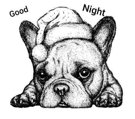 Französische Bulldoggen-Beitrag-Bild