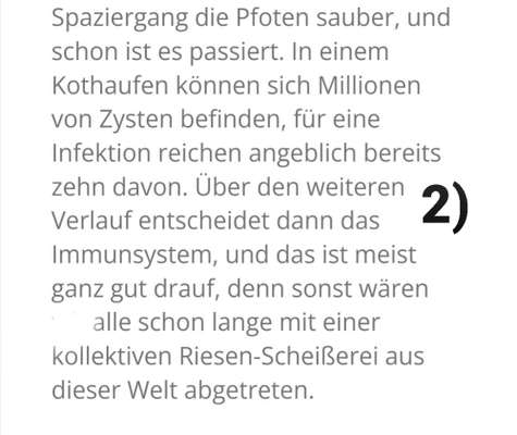 6 Monate Giardien und kein Ende in Sicht-Beitrag-Bild