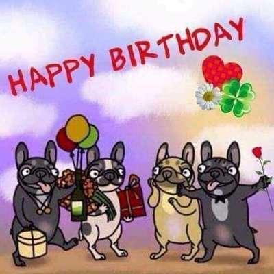 Französische Bulldoggen-Beitrag-Bild