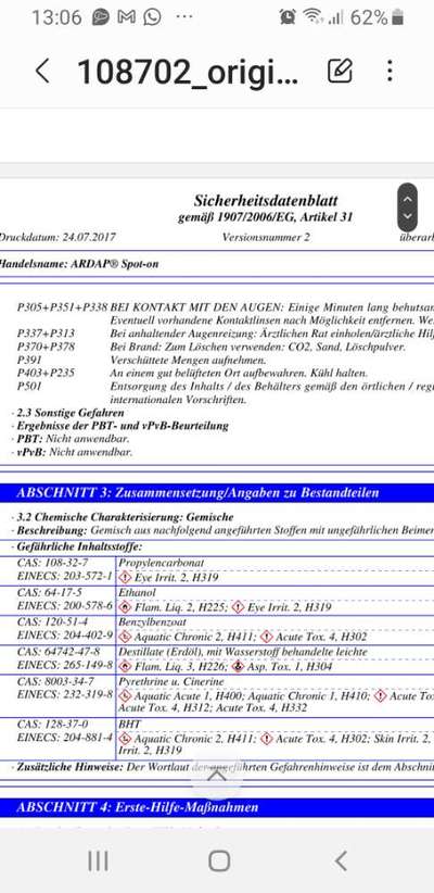 Französische Bulldoggen-Beitrag-Bild
