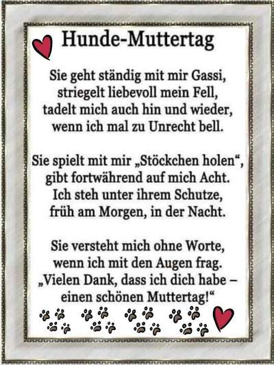 Französische Bulldoggen-Beitrag-Bild