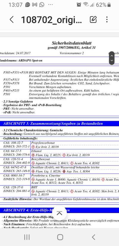 Französische Bulldoggen-Beitrag-Bild