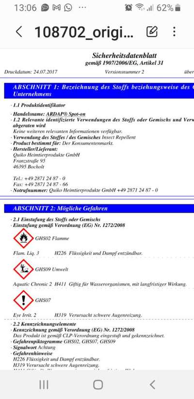 Französische Bulldoggen-Beitrag-Bild