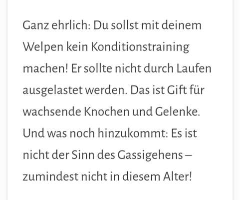 Französische Bulldoggen-Beitrag-Bild