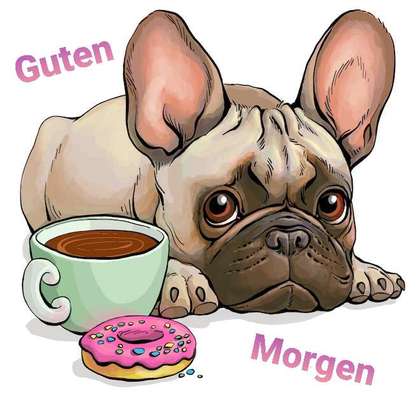 Französische Bulldoggen-Beitrag-Bild