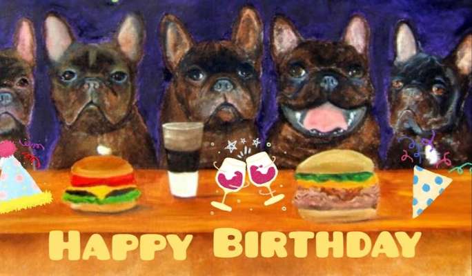 Französische Bulldoggen-Beitrag-Bild