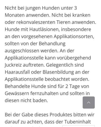 Französische Bulldoggen-Beitrag-Bild