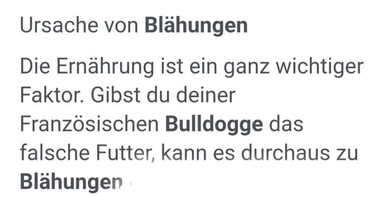 Französische Bulldoggen-Beitrag-Bild