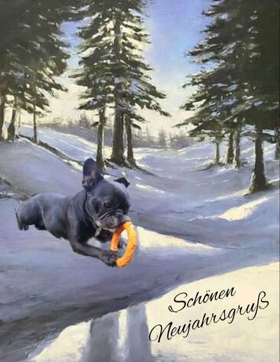 Französische Bulldoggen-Beitrag-Bild