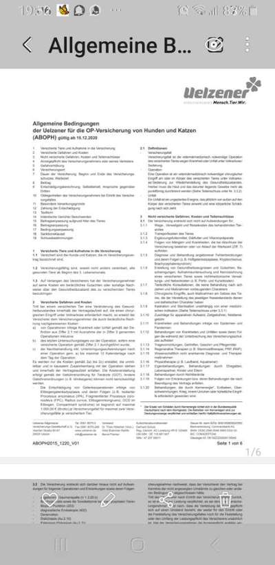 Französische Bulldoggen-Beitrag-Bild