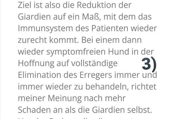 6 Monate Giardien und kein Ende in Sicht-Beitrag-Bild