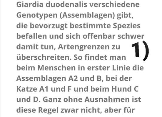 6 Monate Giardien und kein Ende in Sicht-Beitrag-Bild