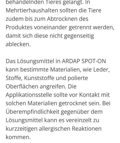 Französische Bulldoggen-Beitrag-Bild