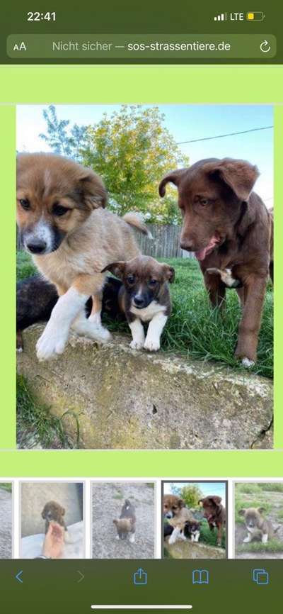 Sie werden so schnell erwachsen ...-Beitrag-Bild