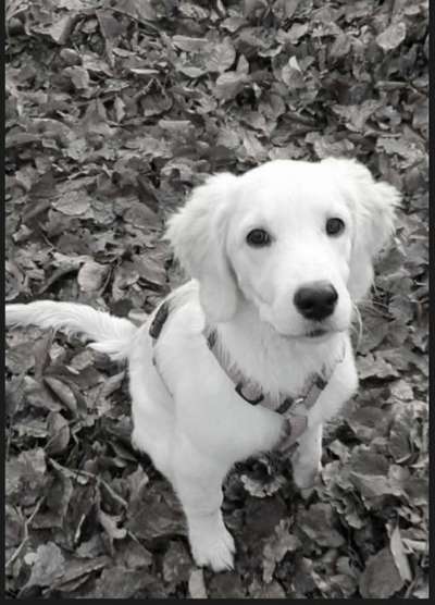 Foto-Challenge 76: Foto in Schwarz-Weiss-Beitrag-Bild