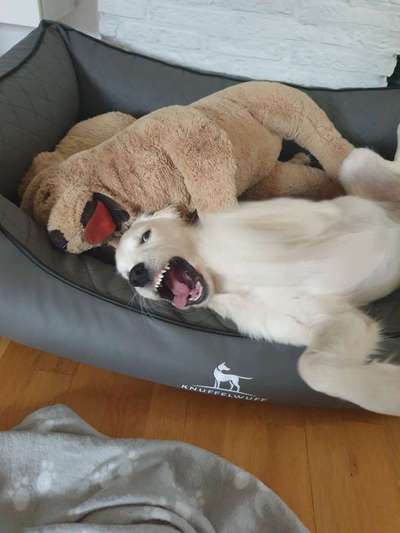 Fotochallenge Nr.65-Beitrag-Bild