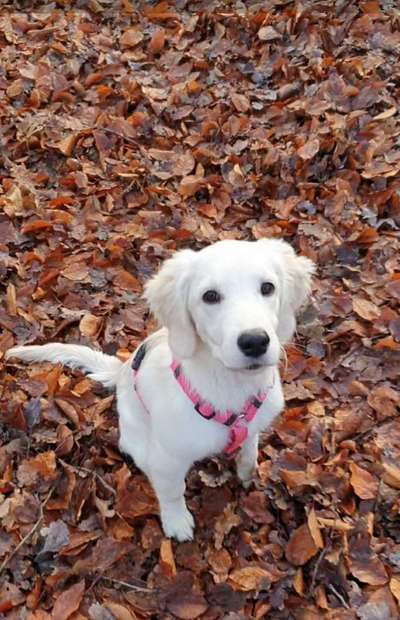 Fotochallenge Nr. 67: Euer Lieblingsbild-Beitrag-Bild