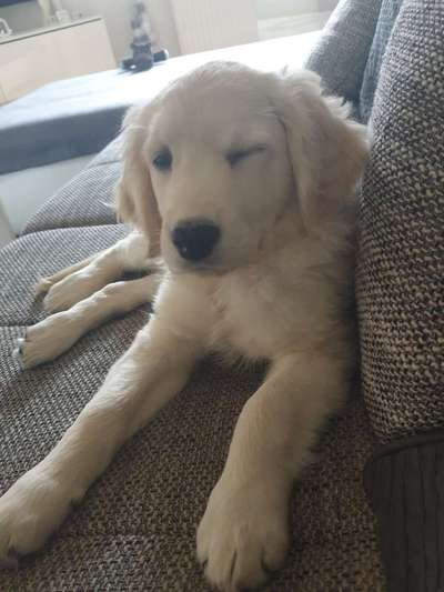 Lieblingsbild-Beitrag-Bild