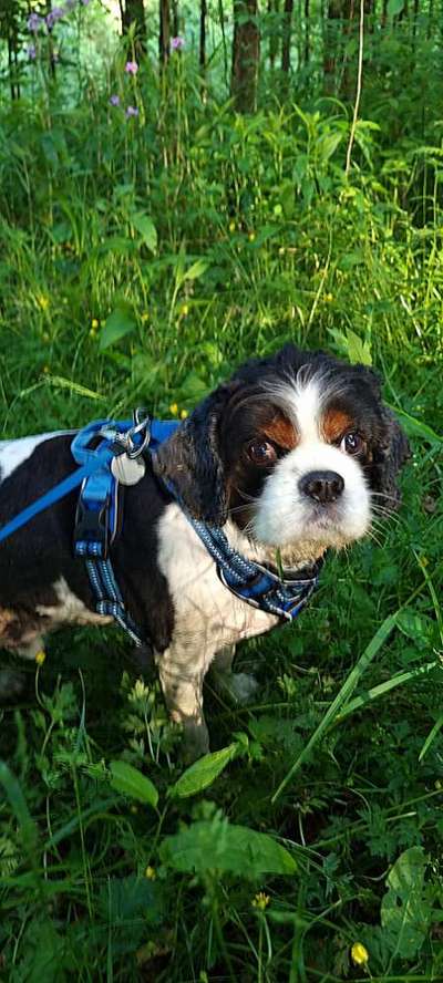 Farben Fotochallenge Thema ,,Grün"-Beitrag-Bild