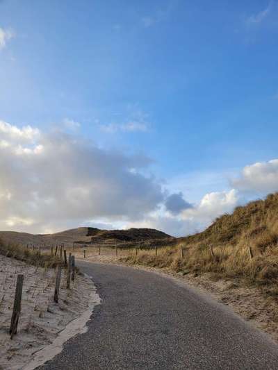 Urlaub mit Hunden-Beitrag-Bild