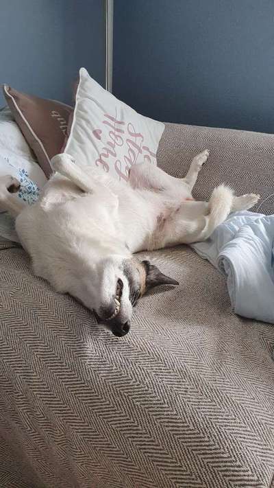 Die unbequemsten und lustigsten Schlafpositionen-Beitrag-Bild