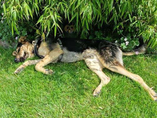 CHALLENGE NR. 34 - Liege-/Schlafpositionen-Beitrag-Bild