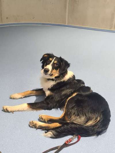 Ist das ein...?-Beitrag-Bild