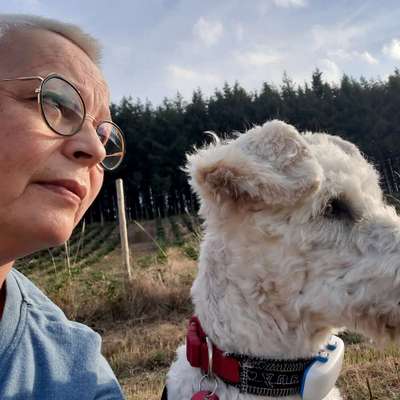 Margarita's Profilbild