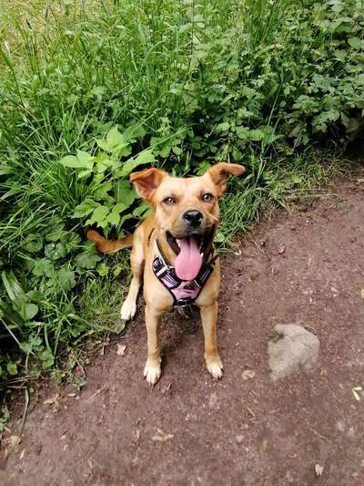 Fotochallange Nr. 57     PORTRÄT.   Beendet!!!!!!!!-Beitrag-Bild